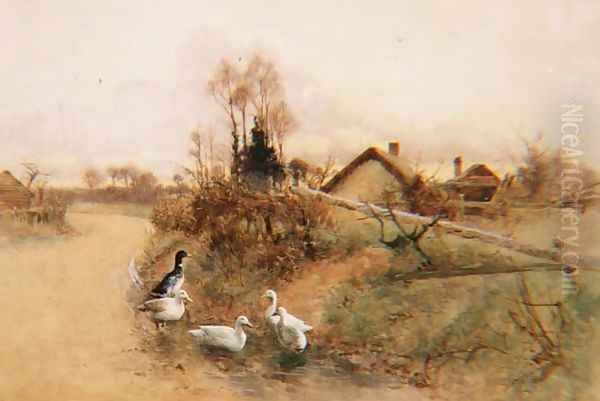Dabbling Ducks - view 1