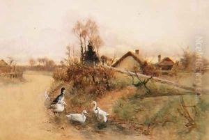 Dabbling Ducks by Benjamin D. Sigmund