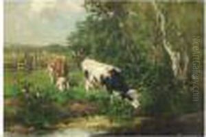Cows By A Pond Cows By A Pond