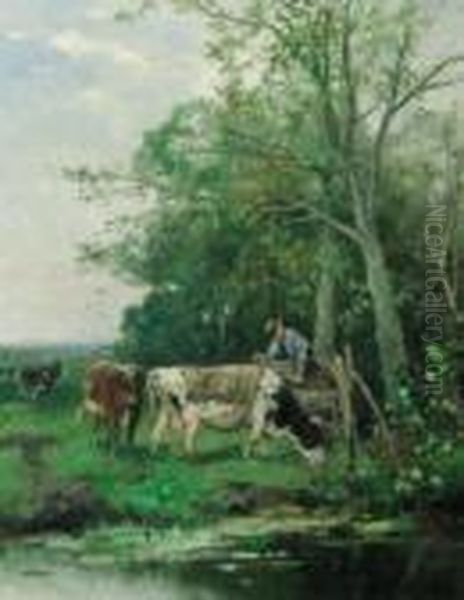 Cows In A Meadow - view 1