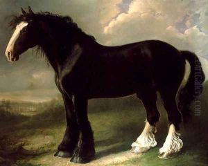 Old English Black Horse by William Shiels