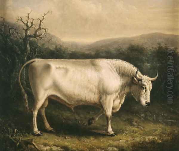 Chillingham Bull, c.1830 - view 1