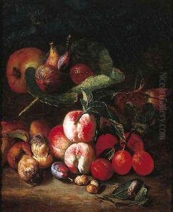 Peaches, plums, medlar, figs on a vine, an apple, mushrooms and a beetle on a forest floor by Pieter Snyers