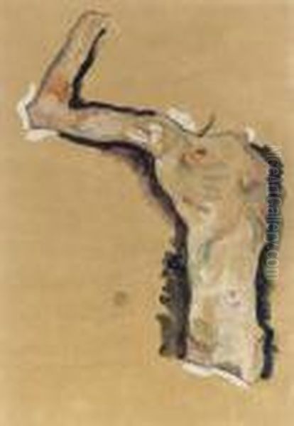 Mannlicher Torso (korper Und Arm) - view 1
