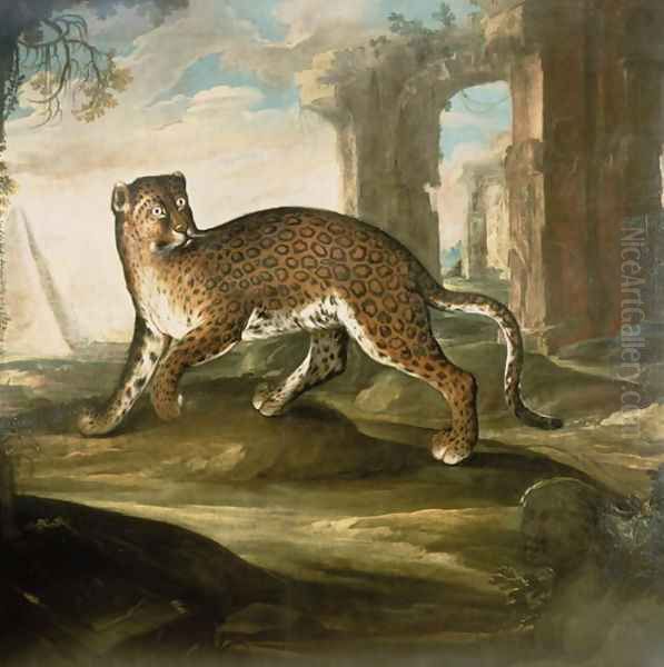 A Jaguar - view 1