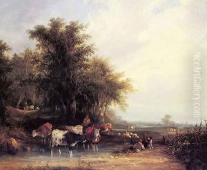 Near the New Forest