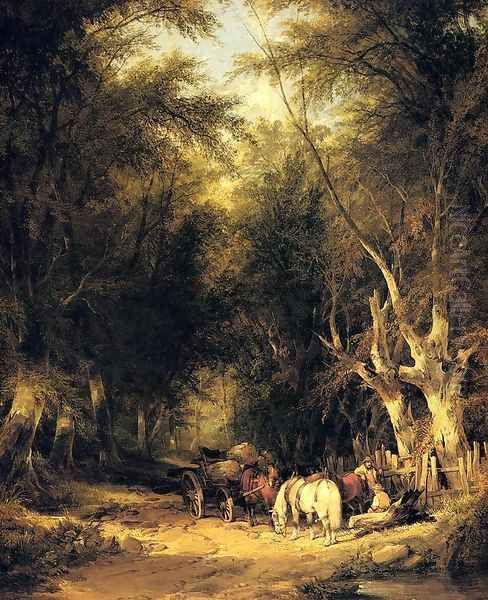 In The New Forest - view 1