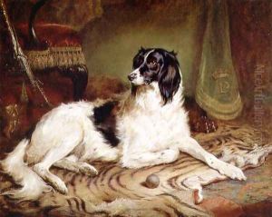 Minna, a favourite dog of James, Marquess of Dalhousie, 1857 by Gourlay Steell