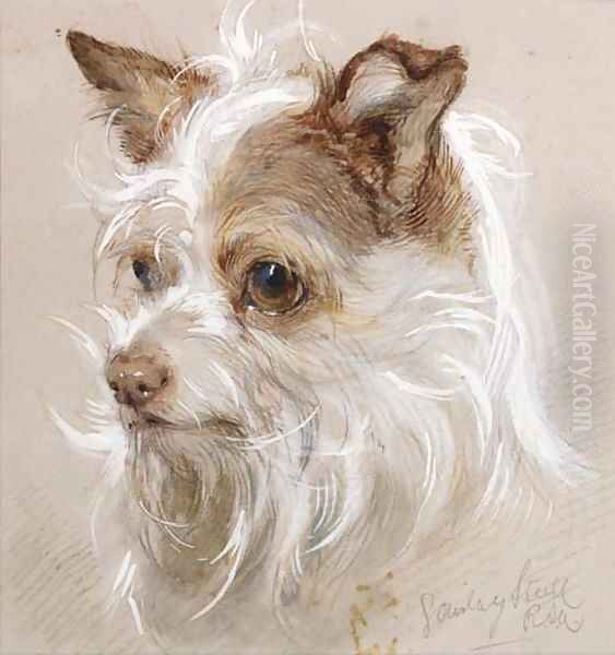 Mite, a terrier - view 1