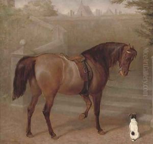The doctor's pony by Gourlay Steell