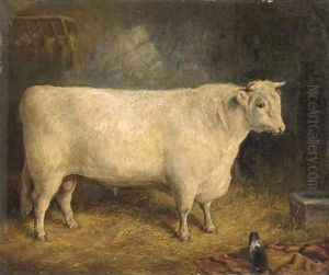 A prize bull by Gourlay Steell