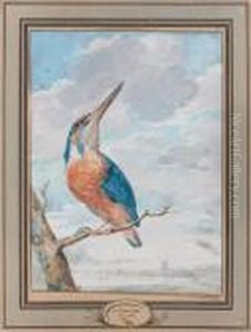 Martin-pecheur