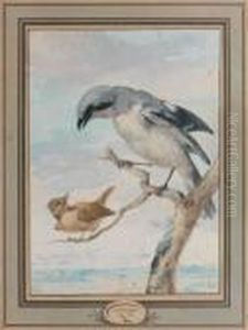 Geai Et Grive by Aert Schouman