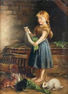Feeding The Rabbits