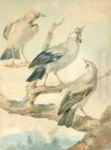 Trois Oiseaux by Aert Schouman