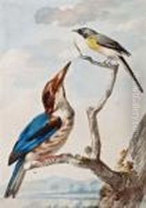 Twee Vogels Op Een Tak by Aert Schouman