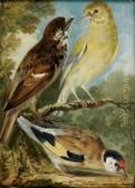 Trois Passereaux Dans Un Paysage - view 1