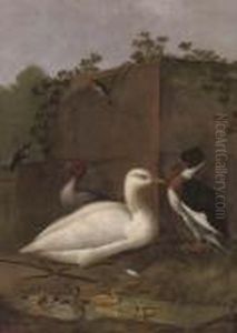 A Duck, A Mallard And Ducklings And Other Birds In A Clearing by Aert Schouman
