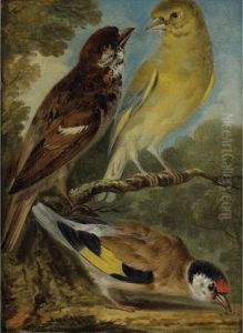 Etude D'oiseaux [attributed To Aert Schouman ; Study Of Birds ; Oil On Original Canvas] by Aert Schouman