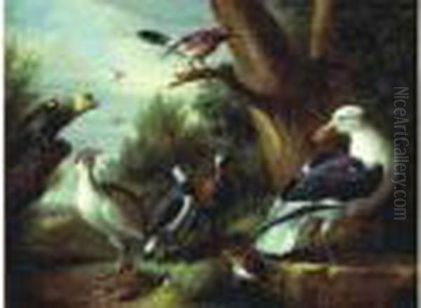 Paysage Avec Un Geai, Un Vaneau, Un Faisan, Un Perroquet Et Un Goeland - view 1