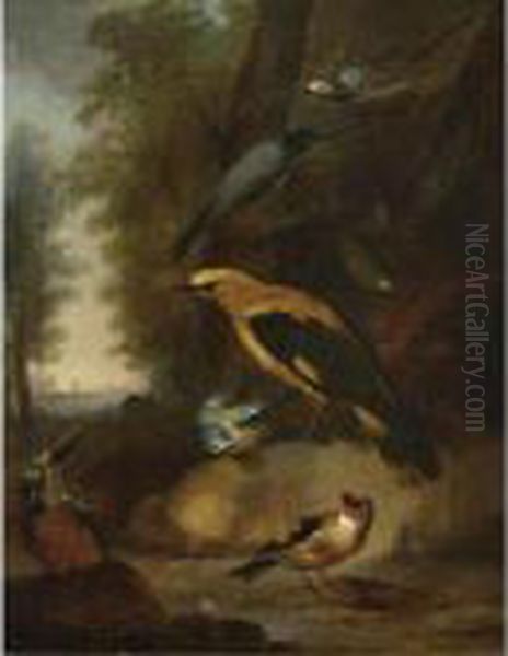 A Study Of A Golden Oriole, A
Kingfisher, A Great Tit, A Bullfinch And Three Other Songbirds In A
Landscape Setting by Aert Schouman