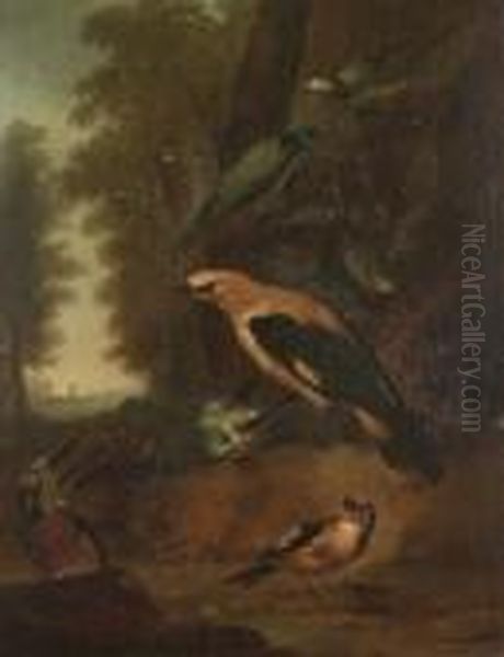 A Golden Oriel, A Kingfisher, A Blue Tit, A Goldfinch And Wagtails On A Forest Floor - view 1