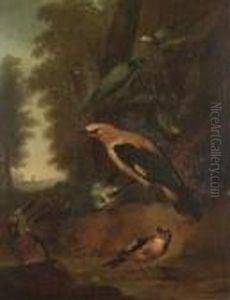 A Golden Oriel, A Kingfisher, A Blue Tit, A Goldfinch And Wagtails On A Forest Floor