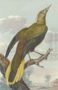 A Bird Of Paradise In An Exotic Landscape by Aert Schouman