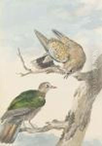 Two Turtle Doves On A Tree by Aert Schouman