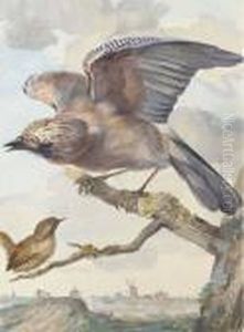 A Jay With Outstretched Wings And A Wren Perching On A Tree Besidea Dutch Estuary