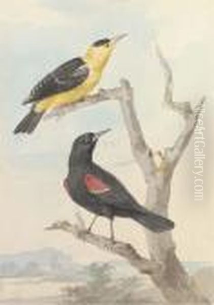 Two Exotic Birds On A Tree - view 1