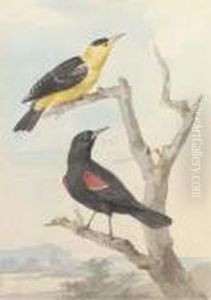 Two Exotic Birds On A Tree by Aert Schouman