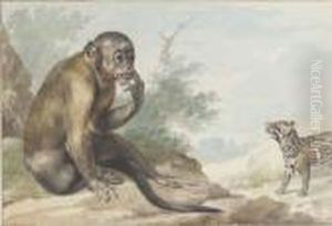 A Monkey Seated On A Rock Looking At A Civet by Aert Schouman