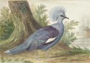 A Crownbird At The Foot Of A Tree, A Terrace In Thebackground by Aert Schouman