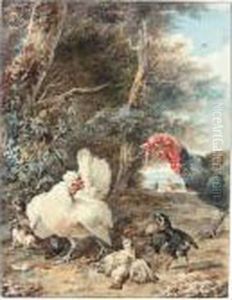 A Turkey Startling Chickens