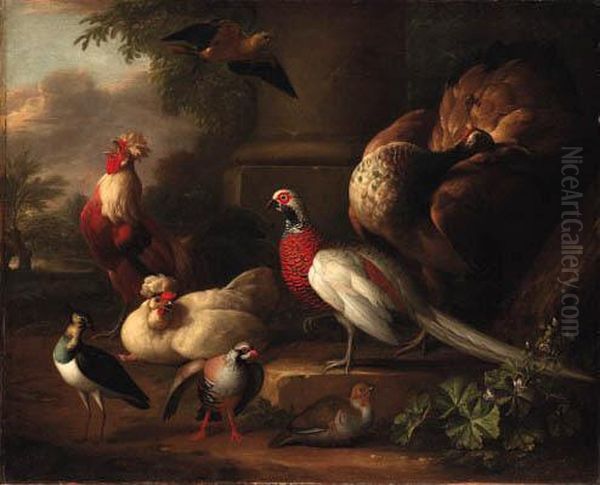 A Peacock, A Pheasant, A Cockerel And Other Birds In Alandscape
Bears Signature And Date 'a.schouman/1746' - view 1