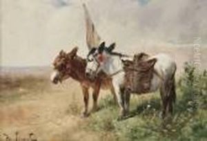 Donkeys Donkeys