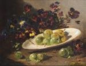 Bord Met Reine-claude Pruimen Bord Met Reine-claude Pruimen