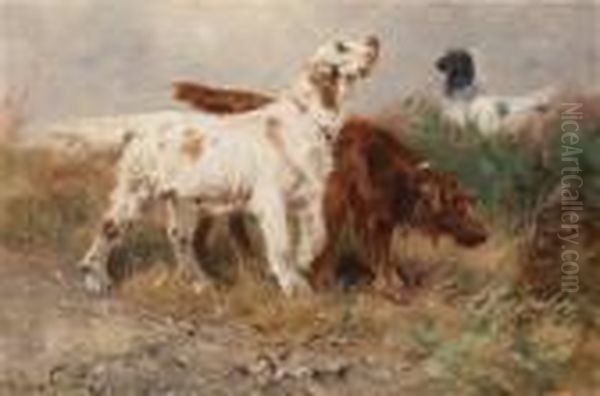 Setters On The Hunt - view 1