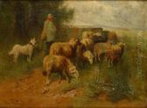 Herder Met Schapen - view 1