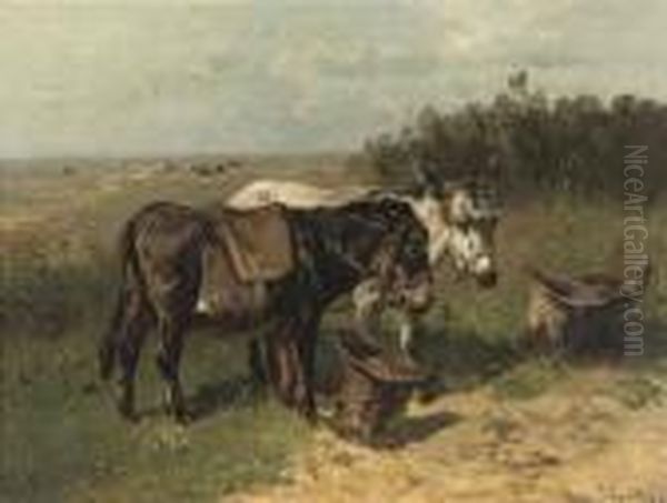 Donkeys In A Field - view 1