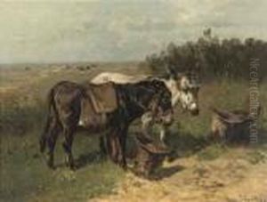 Donkeys In A Field by Henry Schouten