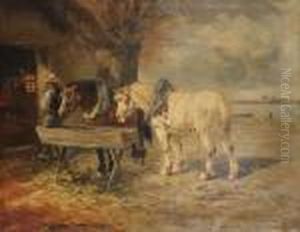 Paarden Bij De Stal