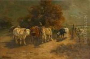 Troupeau De Vaches A Labarriere