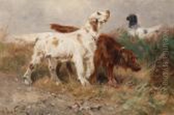 Setters Hunting - view 1