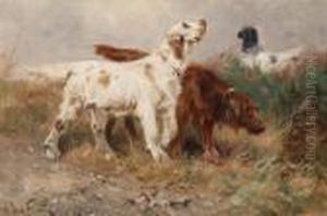 Setters Hunting Setters Hunting