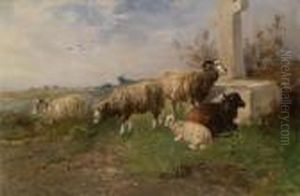 Sheep In Themeadow Sheep In Themeadow