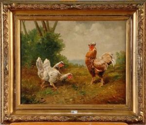 Coq Et Poules