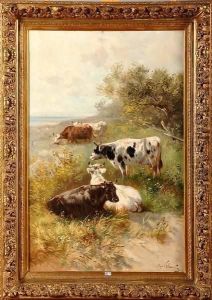 Vaches Au Bord De La Mer Vaches Au Bord De La Mer
