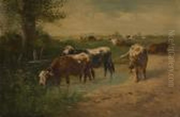 Vaches S'abreuvant - view 1